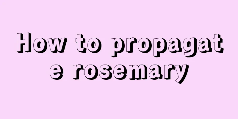 How to propagate rosemary