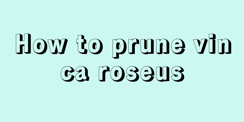 How to prune vinca roseus