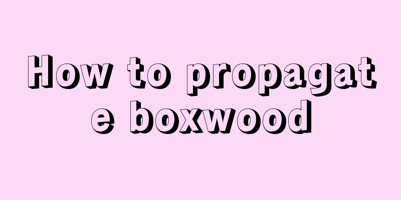 How to propagate boxwood