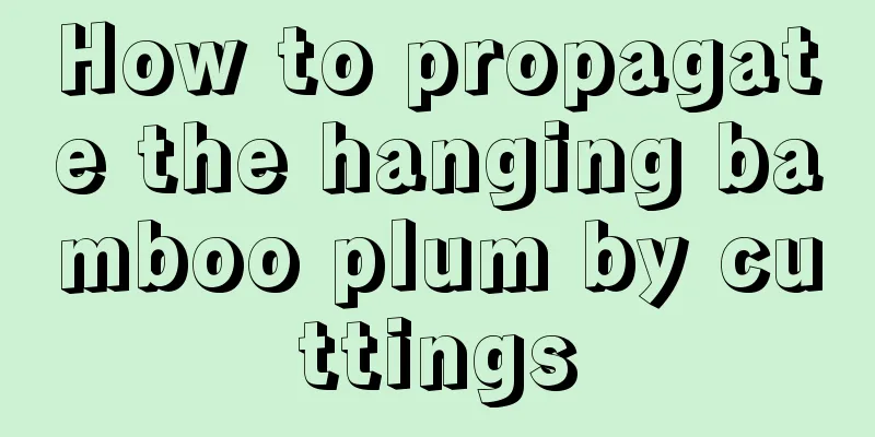 How to propagate the hanging bamboo plum by cuttings