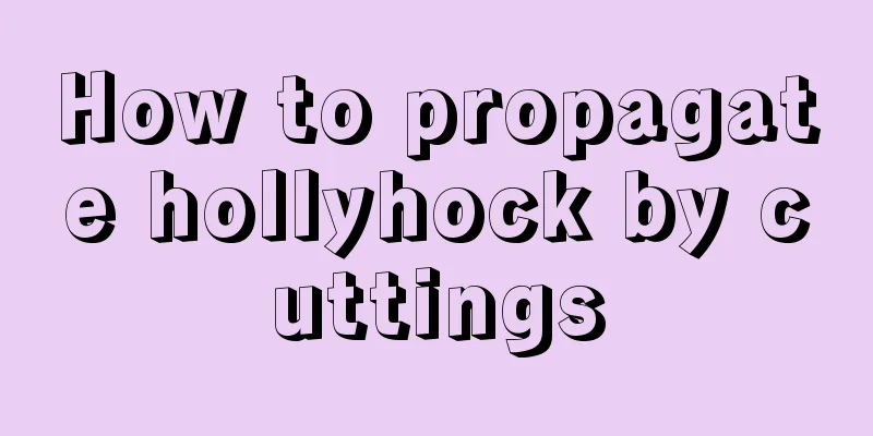 How to propagate hollyhock by cuttings