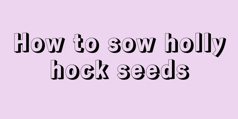 How to sow hollyhock seeds