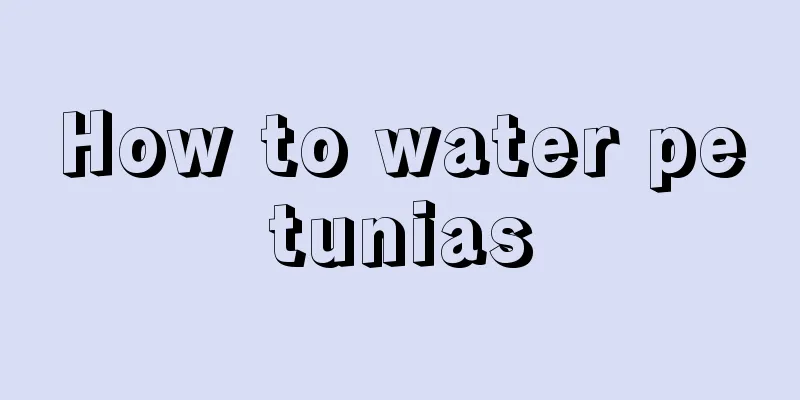 How to water petunias