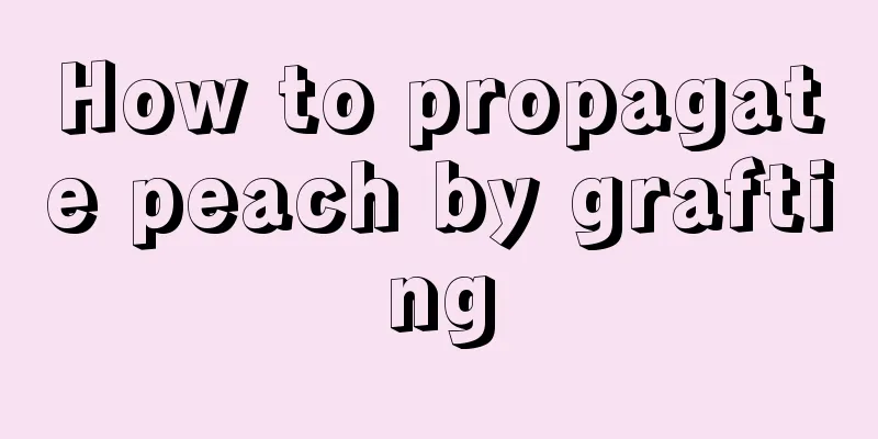 How to propagate peach by grafting