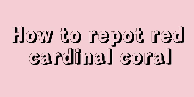 How to repot red cardinal coral