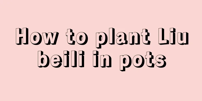 How to plant Liubeili in pots