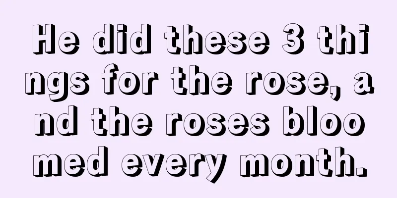 He did these 3 things for the rose, and the roses bloomed every month.