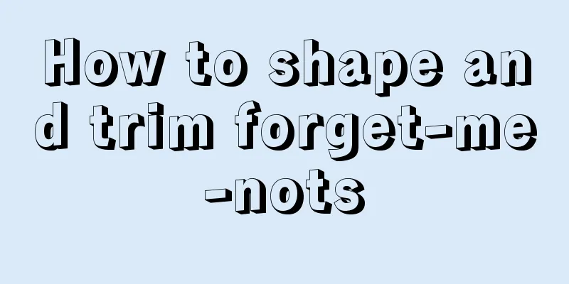 How to shape and trim forget-me-nots