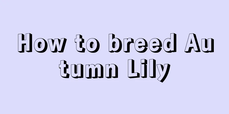 How to breed Autumn Lily