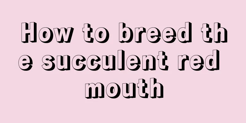 How to breed the succulent red mouth