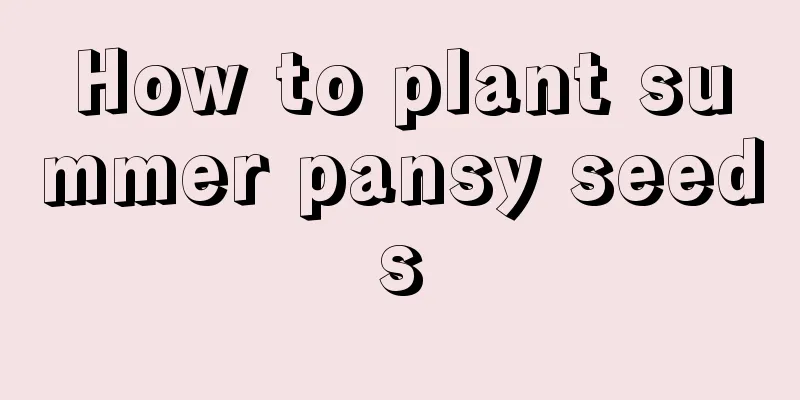 How to plant summer pansy seeds