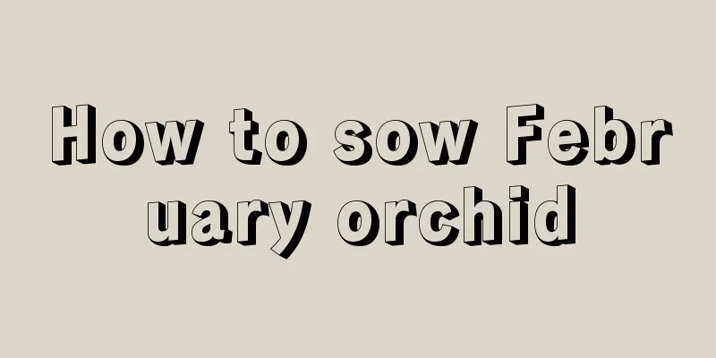 How to sow February orchid