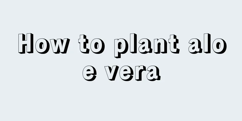 How to plant aloe vera