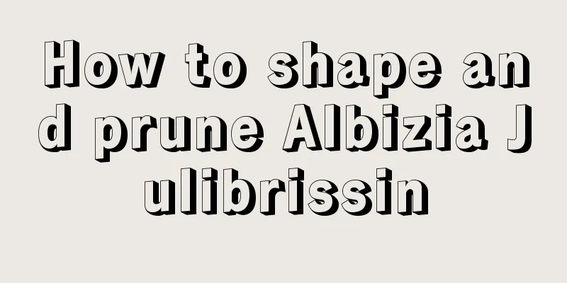 How to shape and prune Albizia Julibrissin