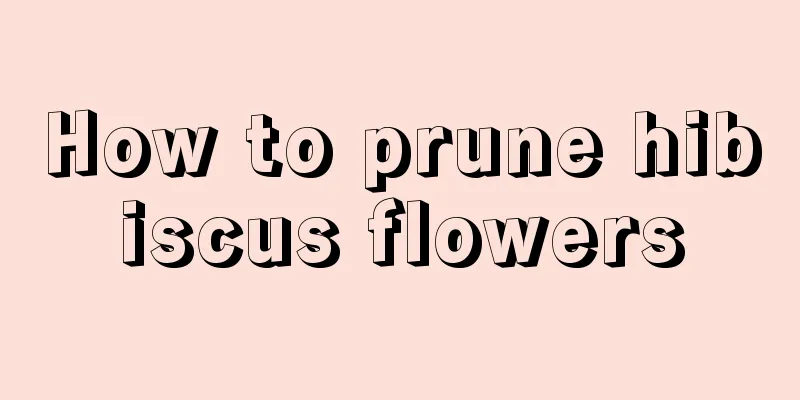 How to prune hibiscus flowers