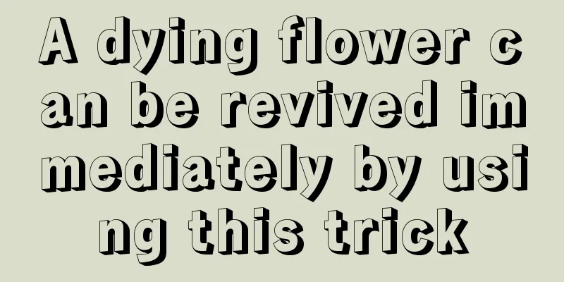 A dying flower can be revived immediately by using this trick