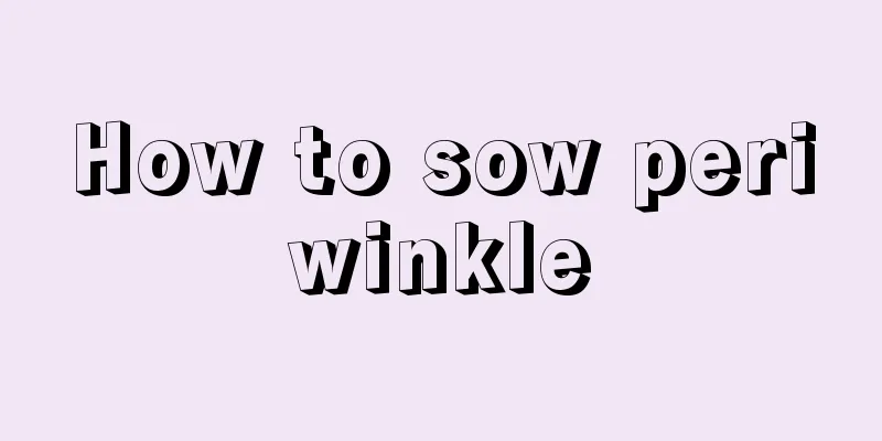 How to sow periwinkle