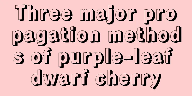 Three major propagation methods of purple-leaf dwarf cherry