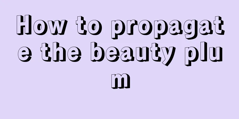 How to propagate the beauty plum