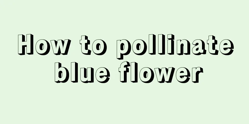 How to pollinate blue flower