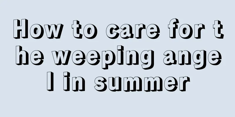 How to care for the weeping angel in summer