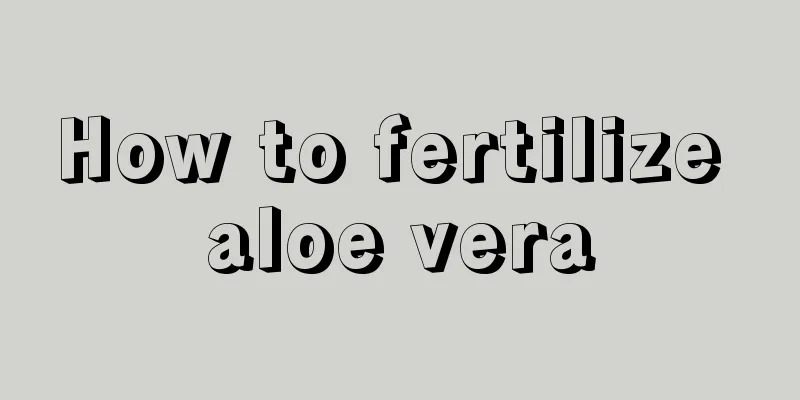 How to fertilize aloe vera