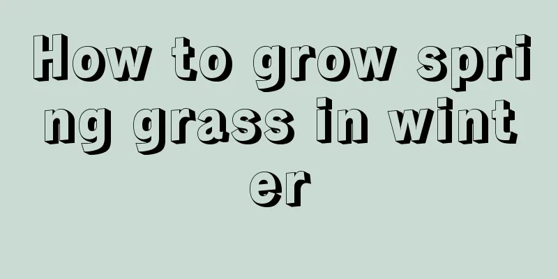 How to grow spring grass in winter