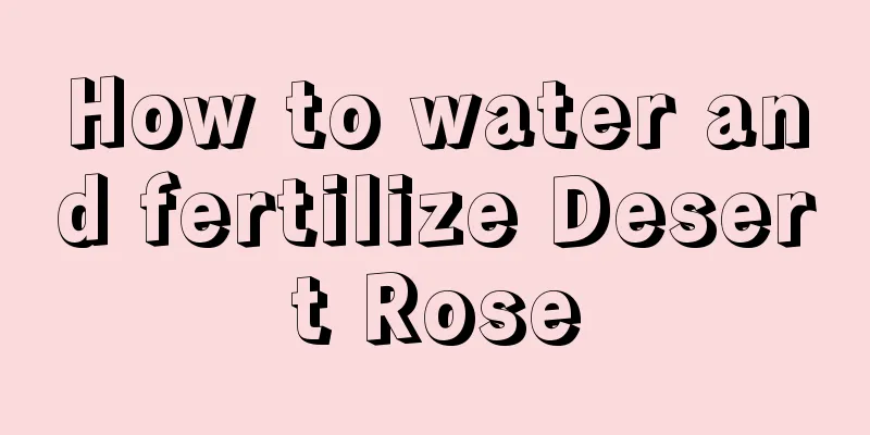 How to water and fertilize Desert Rose