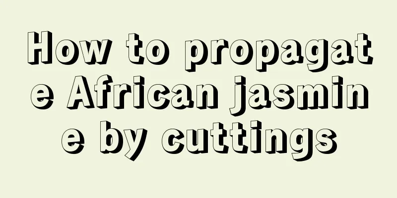 How to propagate African jasmine by cuttings