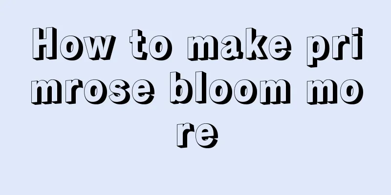 How to make primrose bloom more