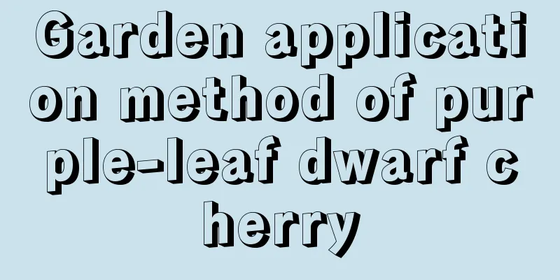 Garden application method of purple-leaf dwarf cherry