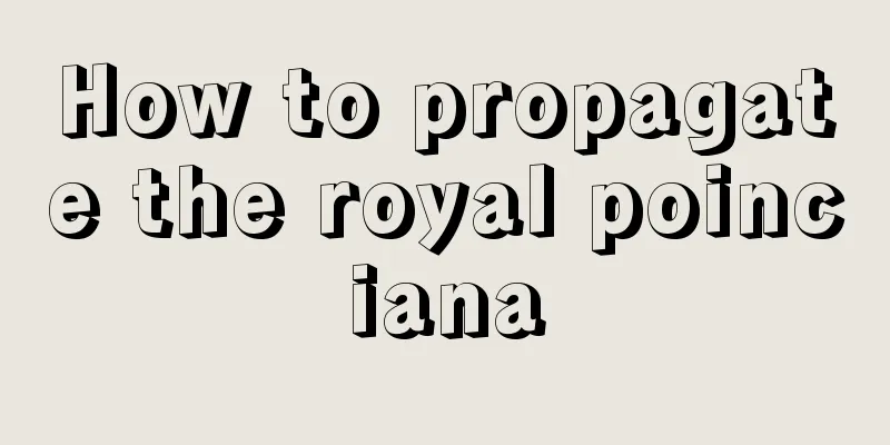 How to propagate the royal poinciana