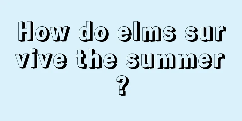 How do elms survive the summer?