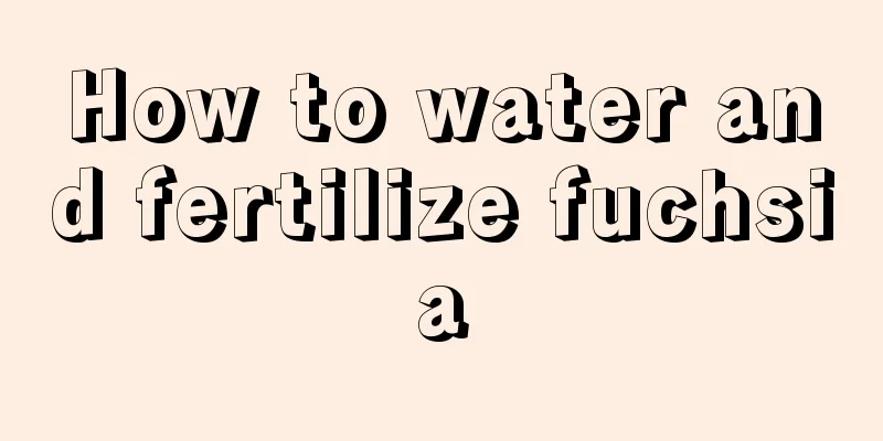 How to water and fertilize fuchsia