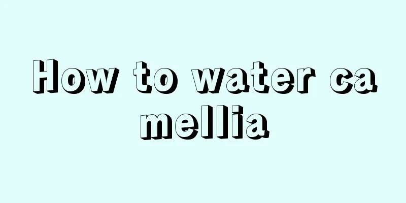 How to water camellia