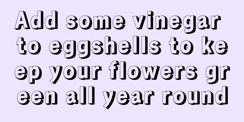 Add some vinegar to eggshells to keep your flowers green all year round