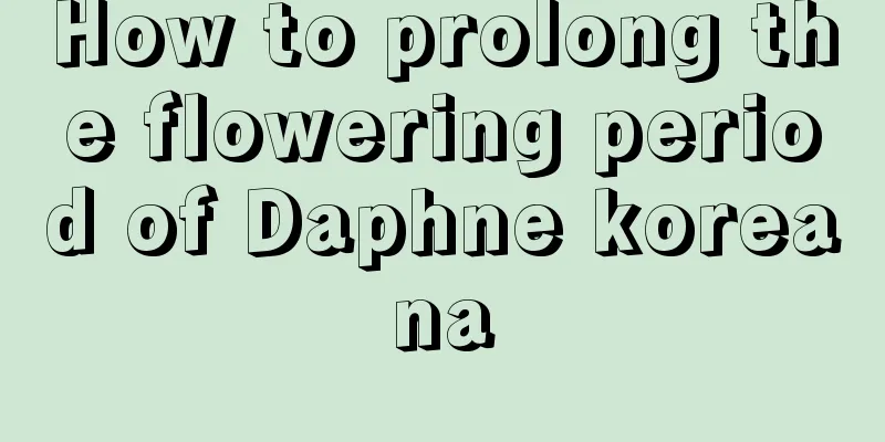 How to prolong the flowering period of Daphne koreana