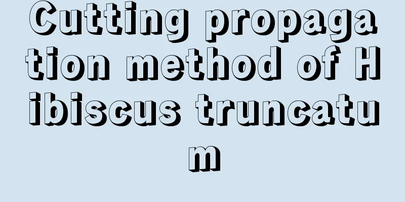 Cutting propagation method of Hibiscus truncatum