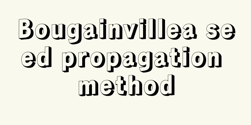 Bougainvillea seed propagation method