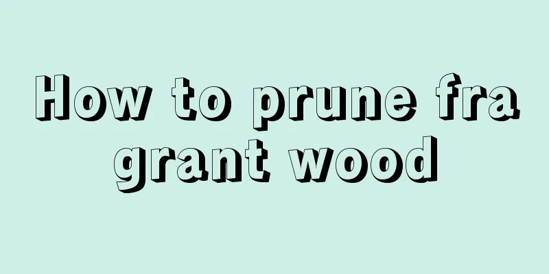 How to prune fragrant wood