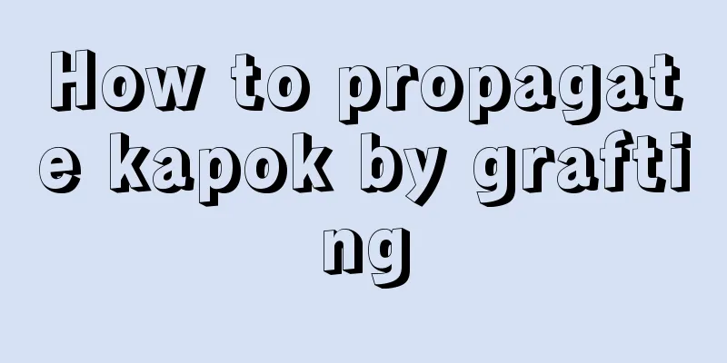 How to propagate kapok by grafting