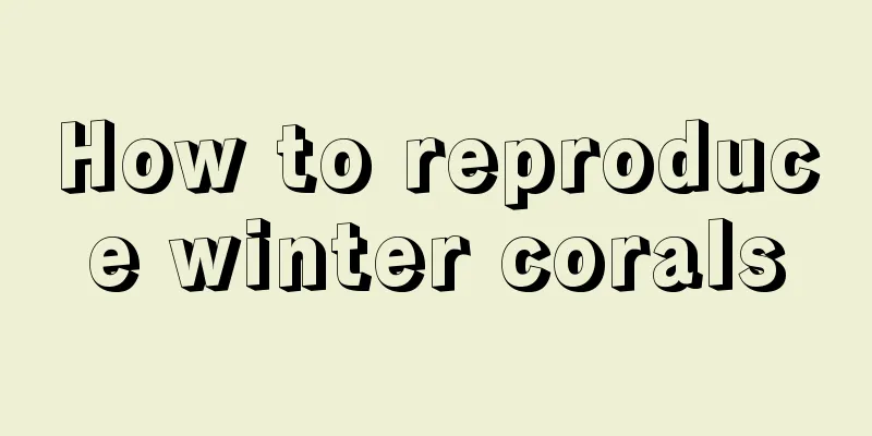 How to reproduce winter corals