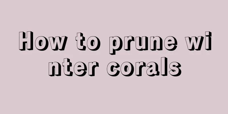 How to prune winter corals