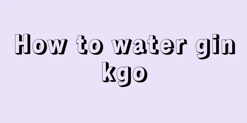 How to water ginkgo