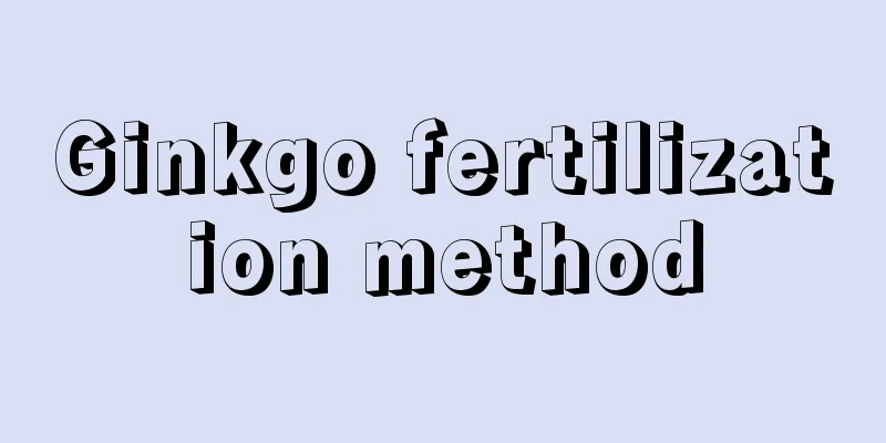 Ginkgo fertilization method