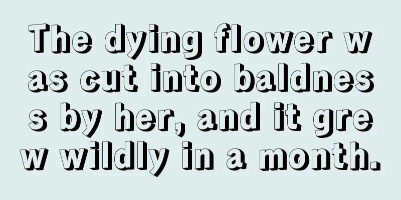 The dying flower was cut into baldness by her, and it grew wildly in a month.