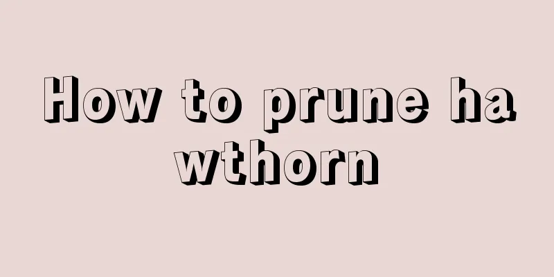 How to prune hawthorn