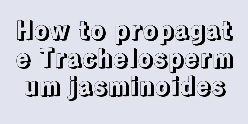 How to propagate Trachelospermum jasminoides