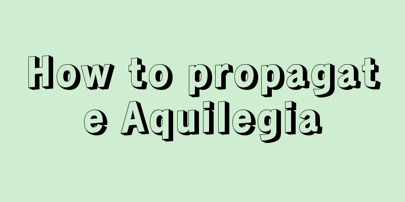 How to propagate Aquilegia