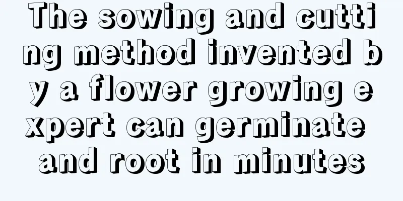 The sowing and cutting method invented by a flower growing expert can germinate and root in minutes